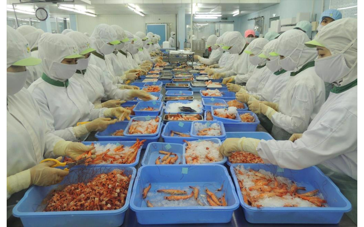 T&ocirc;m Việt Nam vượt qua nhiều l&agrave;n s&oacute;ng Covid